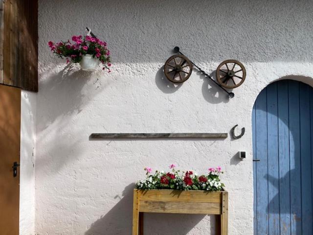 Ferienhaus Irene FDH Esterno foto