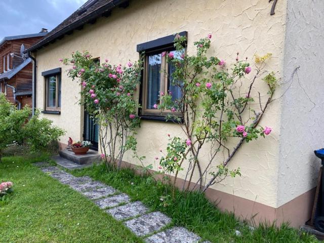 Ferienhaus Irene FDH Esterno foto